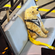 Image for article titled You Aren't Doing Enough To Keep Your Pet Safe In The Car